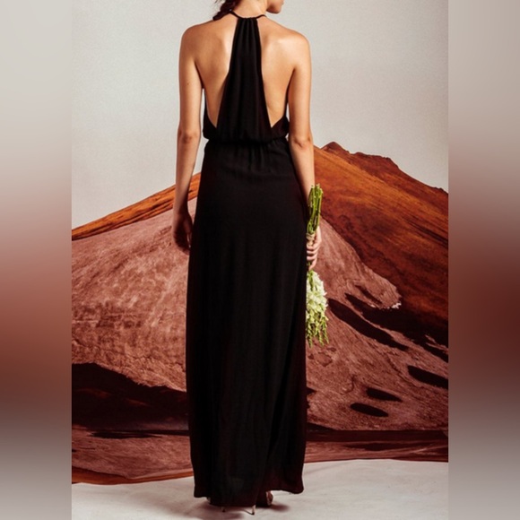 Stone Cold Fox Onyx gown 1 - Picture 4 of 4